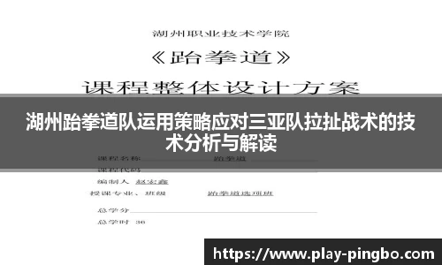 湖州跆拳道队运用策略应对三亚队拉扯战术的技术分析与解读